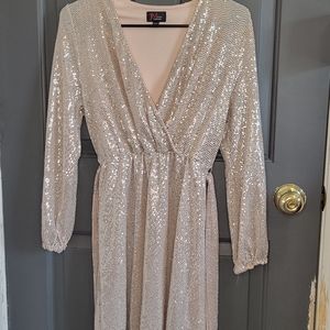 Rose Gold/Silver Dress
